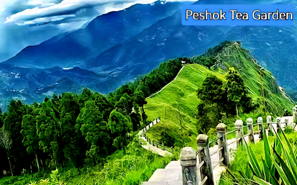 Peshok Tea Garden